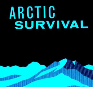 How to survive in the Arctic PDF